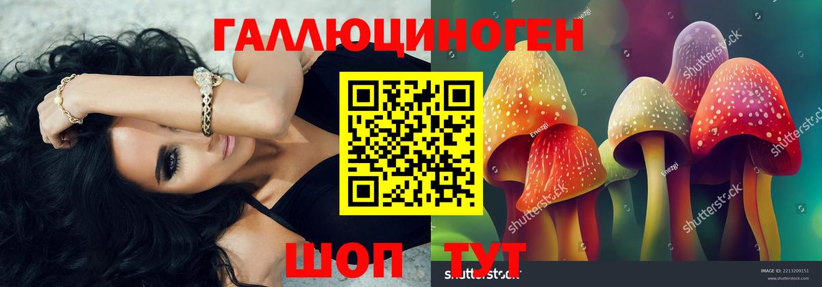 Галлюциногенные грибы ЛСД Астрахань